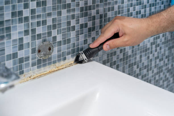 Best Black Mold Remediation in Knik Fairview, AK