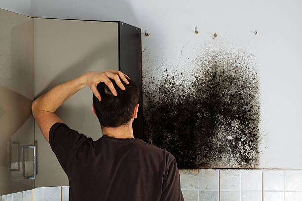 Best Mold Remediation for Specific Building Types in Knik Fairview, AK
